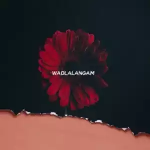 Flex Rabanyan - Wadlala Ngam’ (Xoli) ft. Bhuga Bhengu